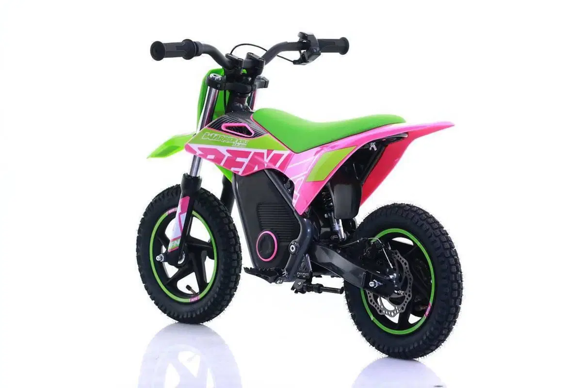  Altre moto o tipologie Elettrico (14)