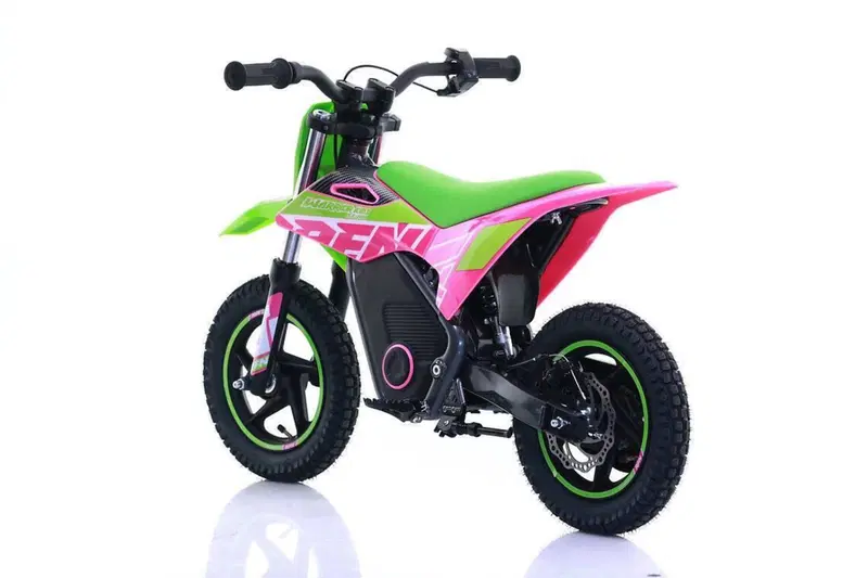  Altre moto o tipologie Elettrico (14)