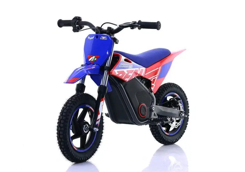  Altre moto o tipologie Elettrico (15)