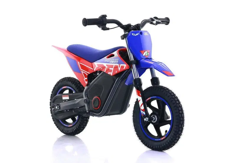  Altre moto o tipologie Elettrico (17)