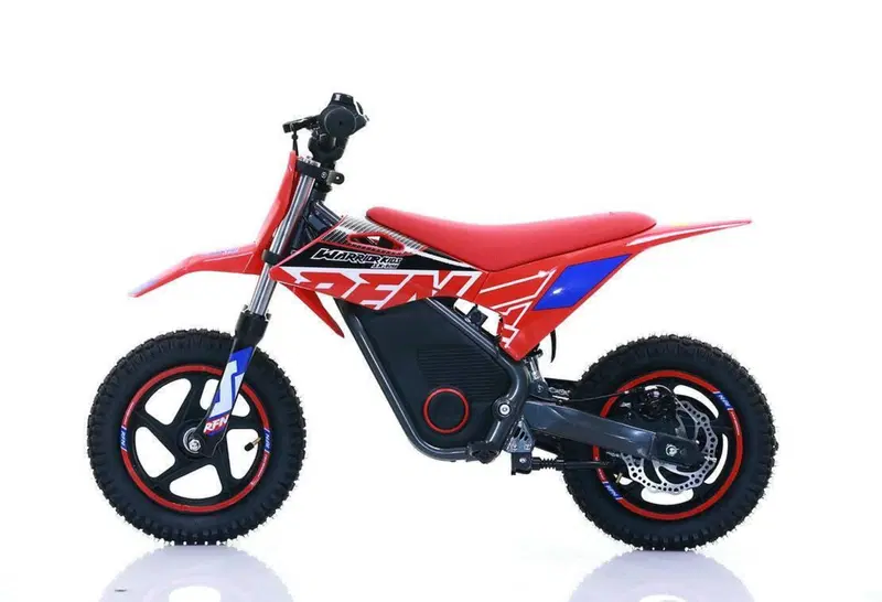  Altre moto o tipologie Elettrico (11)