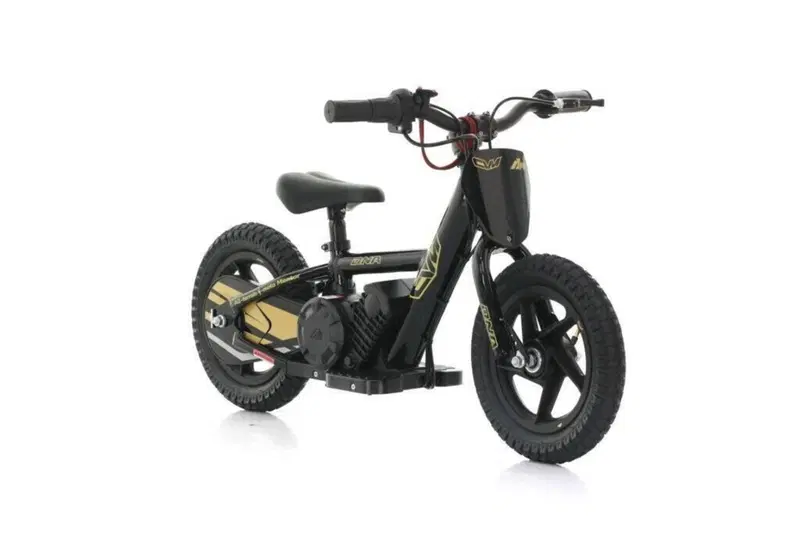  Altre moto o tipologie Elettrico