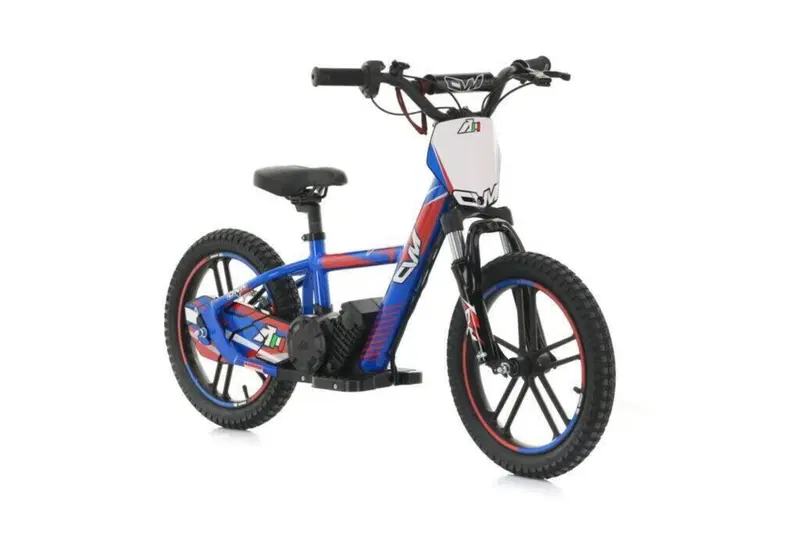  Altre moto o tipologie Elettrico (2)