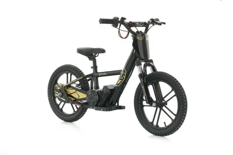  Altre moto o tipologie Elettrico (4)