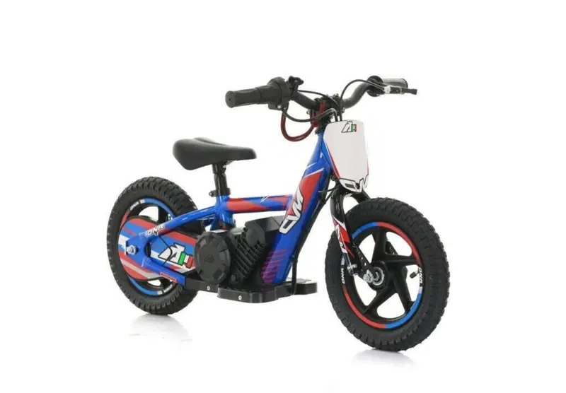 Altre moto o tipologie Elettrico (6)
