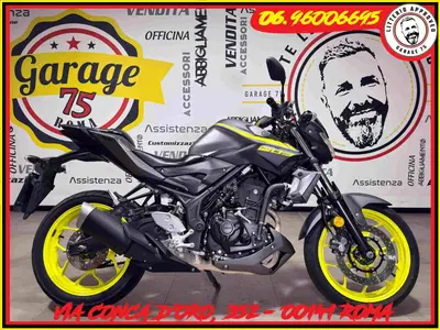 Yamaha MT-03 (2016 - 17) usata