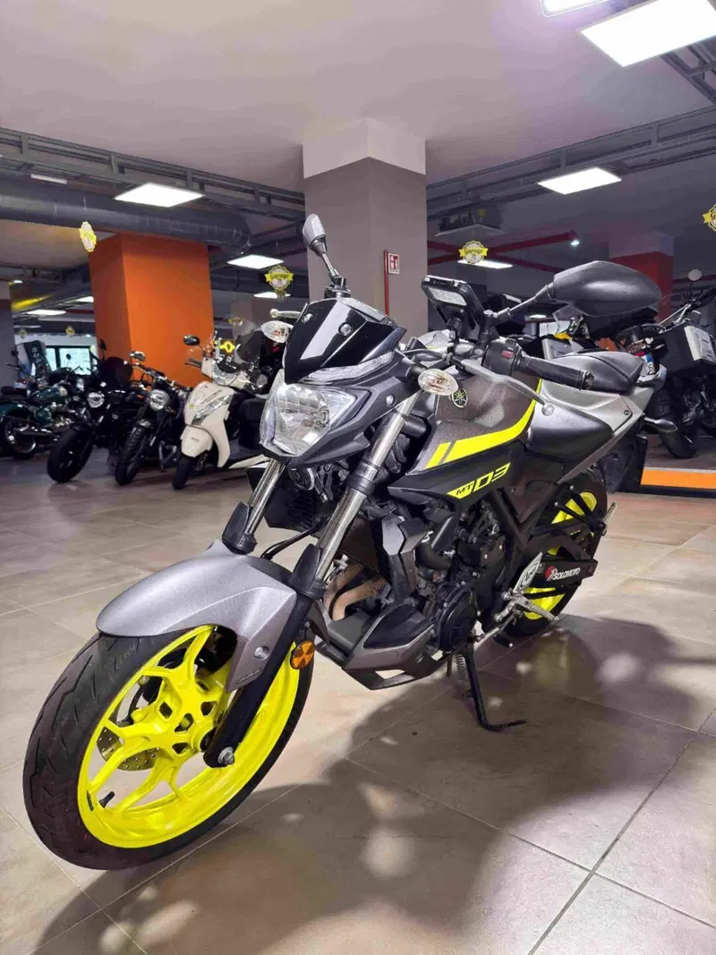 Yamaha MT-03 (2016 - 17) (3)