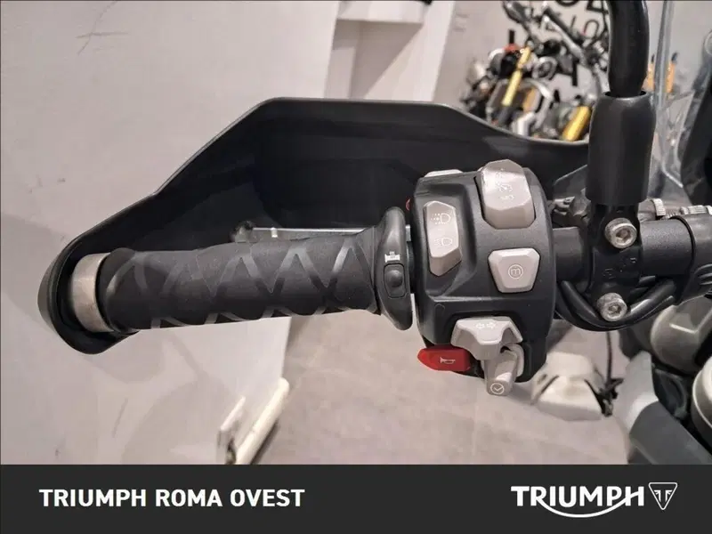 Triumph Tiger 800 XCa (2018 - 20) (7)