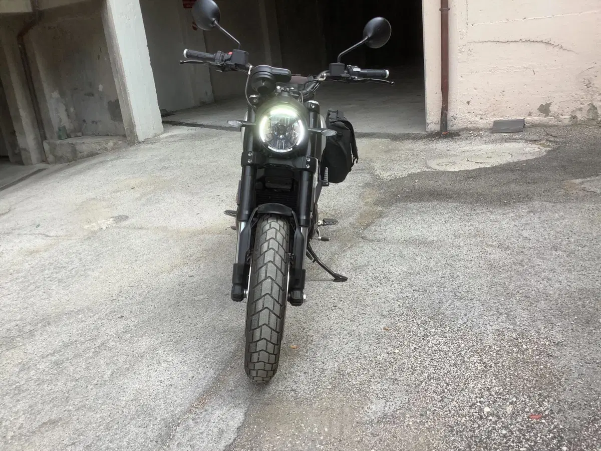 Ducati Scrambler 1100 Pro (2020 - 22) (4)