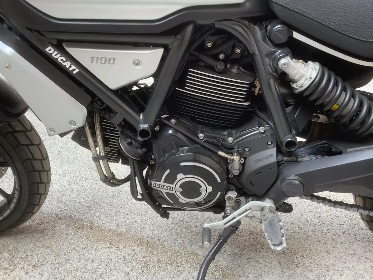 Ducati Scrambler 1100 Pro (2020 - 22) (6)