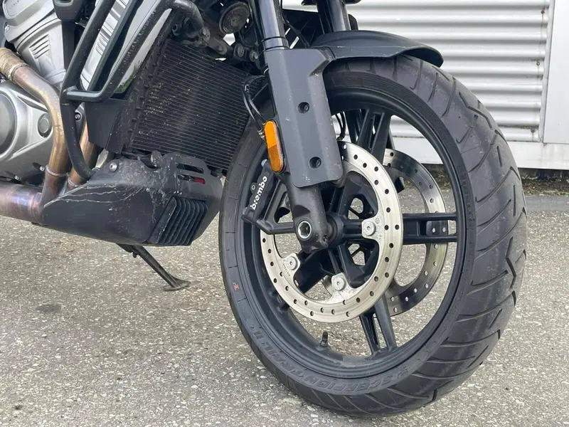 Harley-Davidson Pan America 1250 Special (2020 - 25) (7)