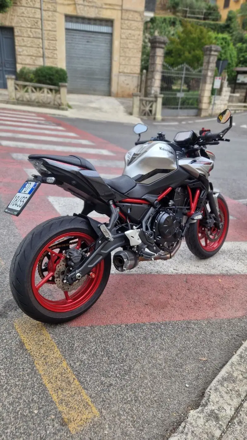 Kawasaki Z 650 (2021 - 24) (2)