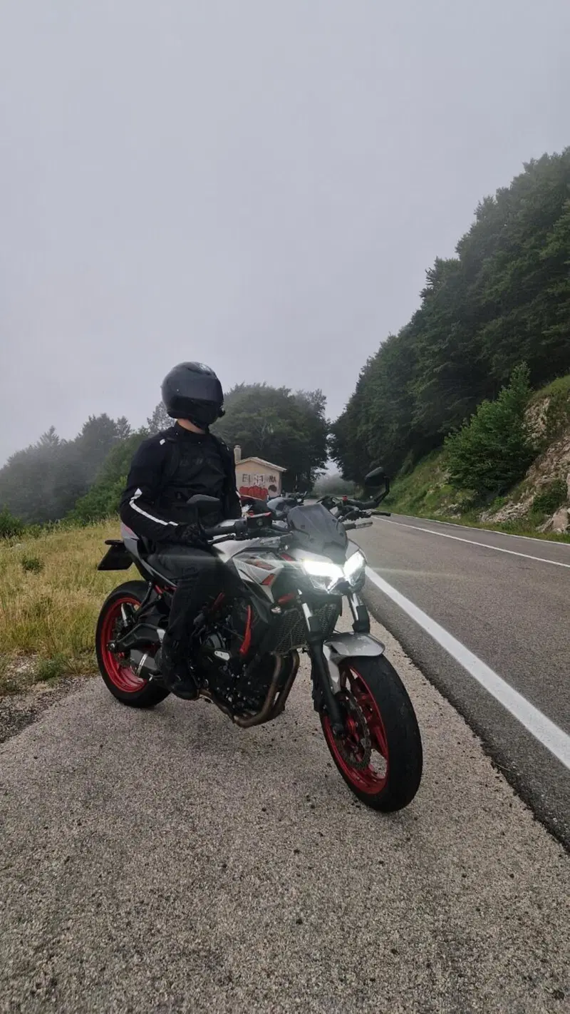 Kawasaki Z 650 (2021 - 24) (3)