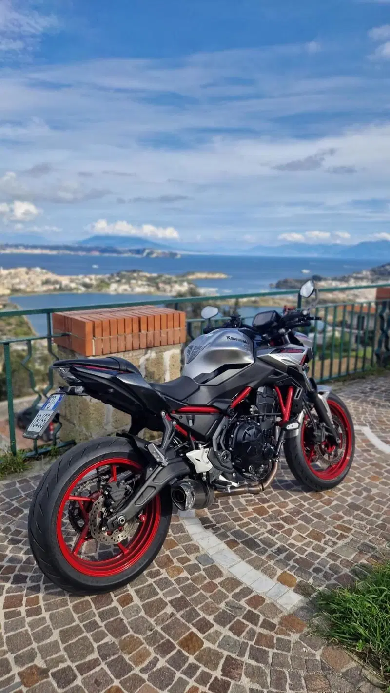 Kawasaki Z 650 (2021 - 24) (6)