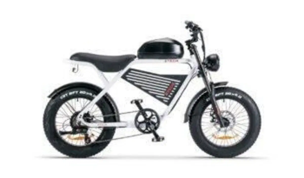  Altre moto o tipologie Elettrico (5)