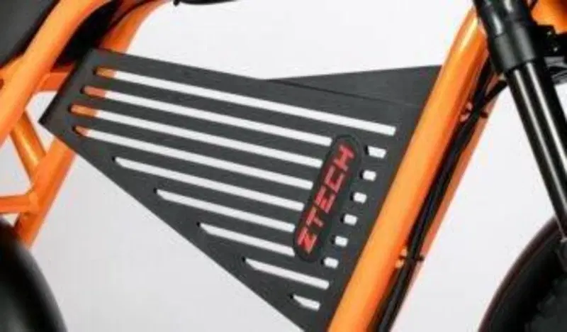  Altre moto o tipologie Elettrico (11)