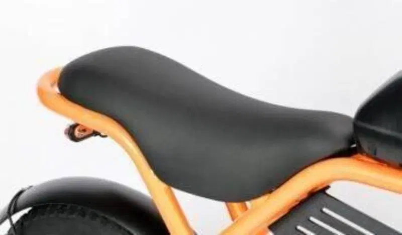  Altre moto o tipologie Elettrico (13)