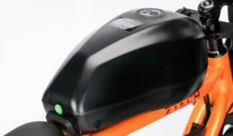  Altre moto o tipologie Elettrico (18)