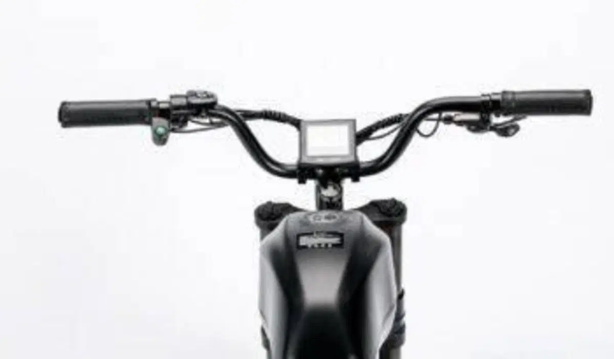  Altre moto o tipologie Elettrico (19)