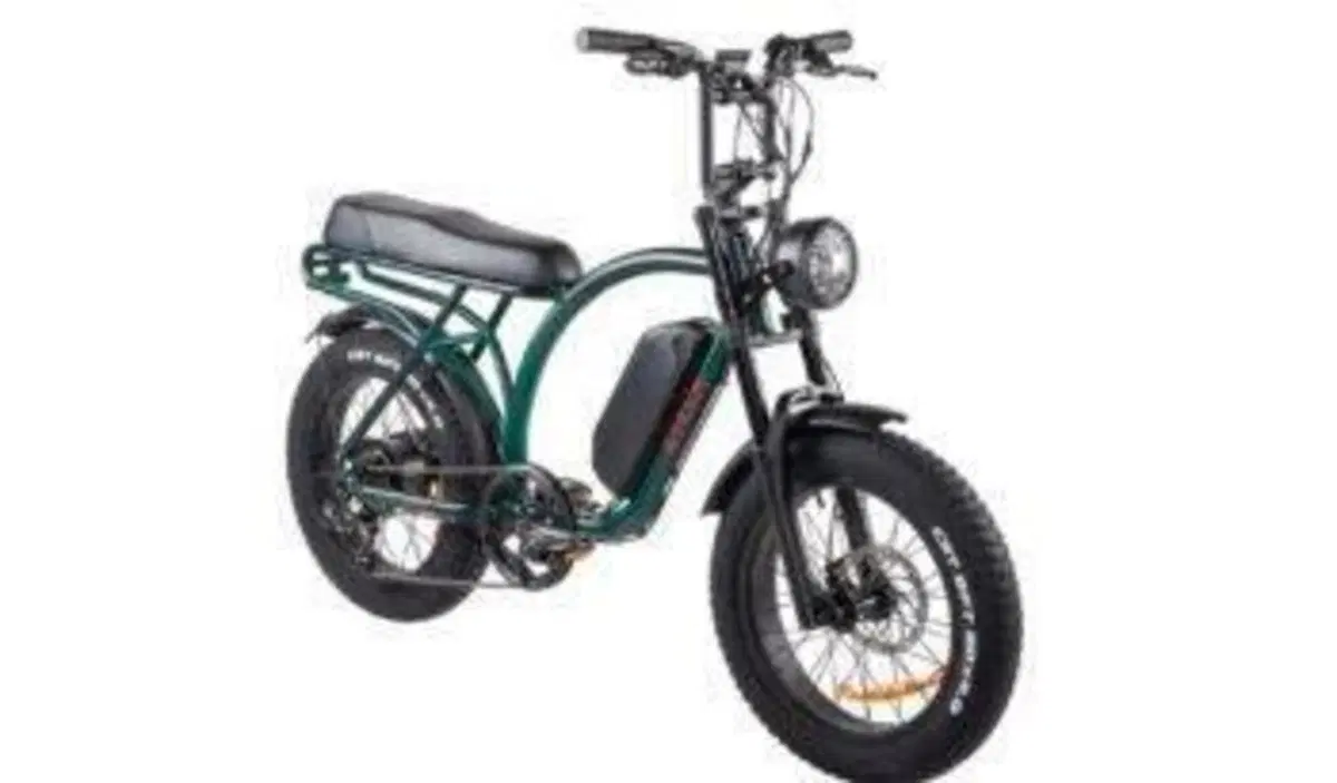  Altre moto o tipologie Elettrico (5)
