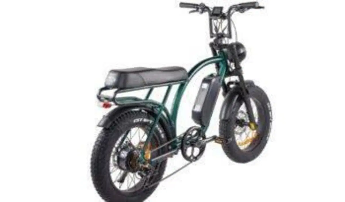  Altre moto o tipologie Elettrico (6)