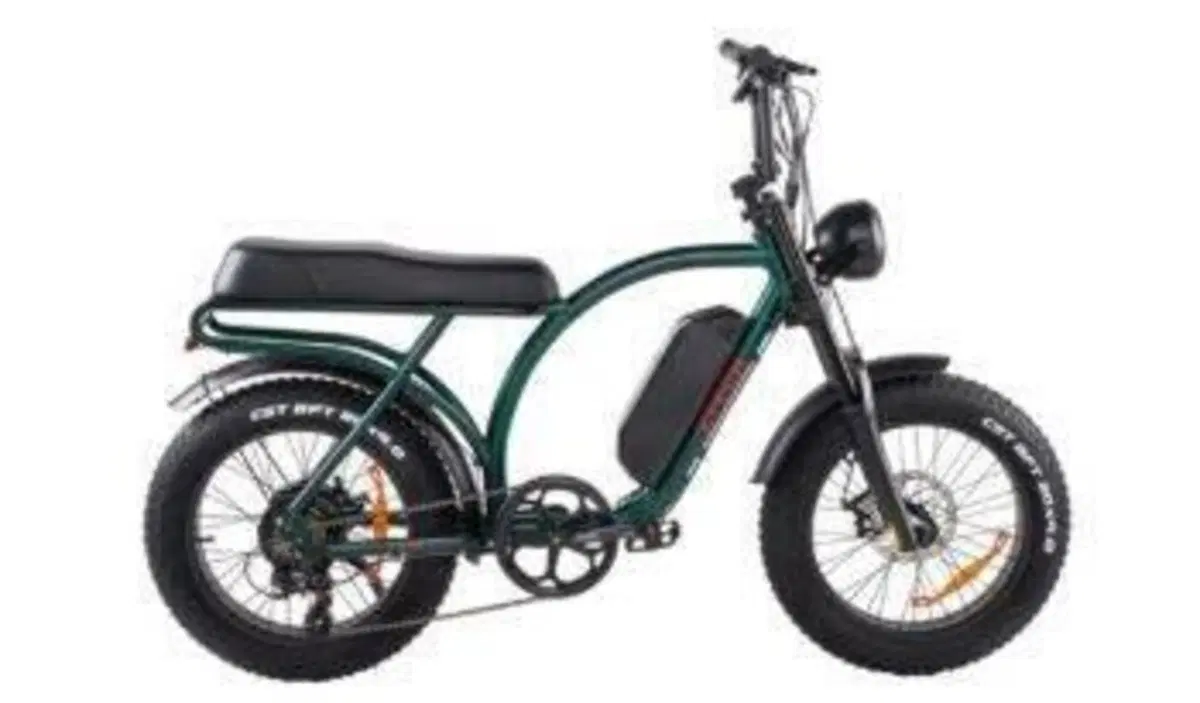  Altre moto o tipologie Elettrico (7)