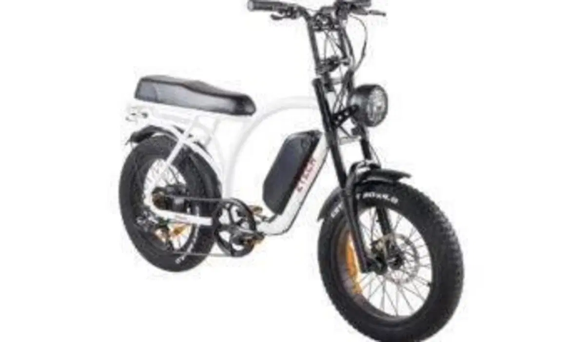  Altre moto o tipologie Elettrico (9)