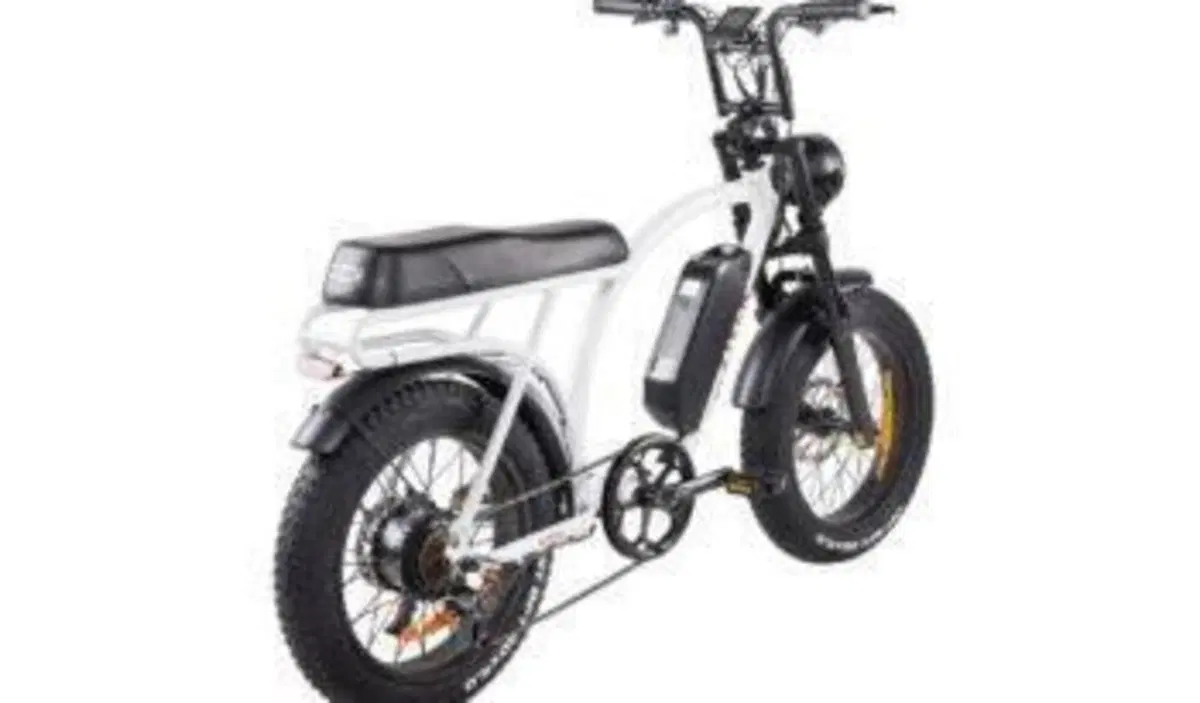  Altre moto o tipologie Elettrico (10)