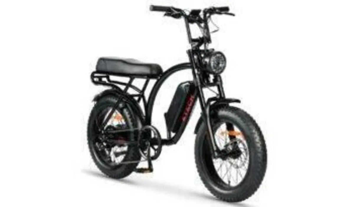  Altre moto o tipologie Elettrico (11)