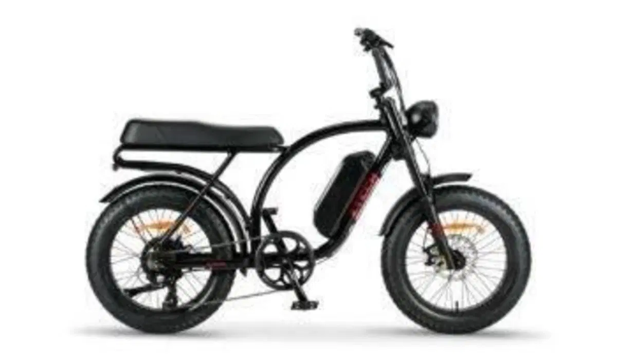  Altre moto o tipologie Elettrico (12)