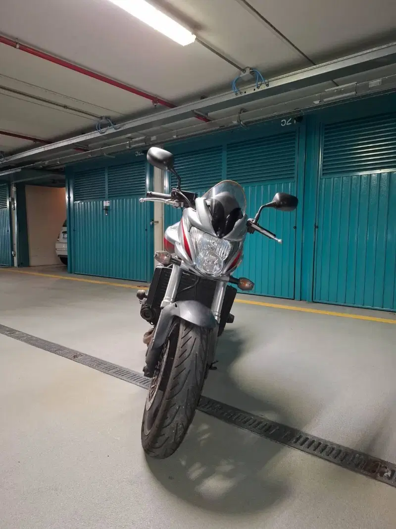 Honda Hornet 600 (2007 - 10) (2)