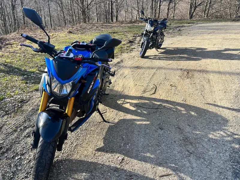 Suzuki GSX S 750 ABS (2017 - 20) (6)