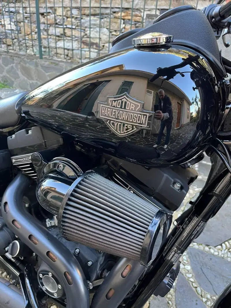 Harley-Davidson 1800 Low Rider S (2016 - 17) - FXDLS (14)