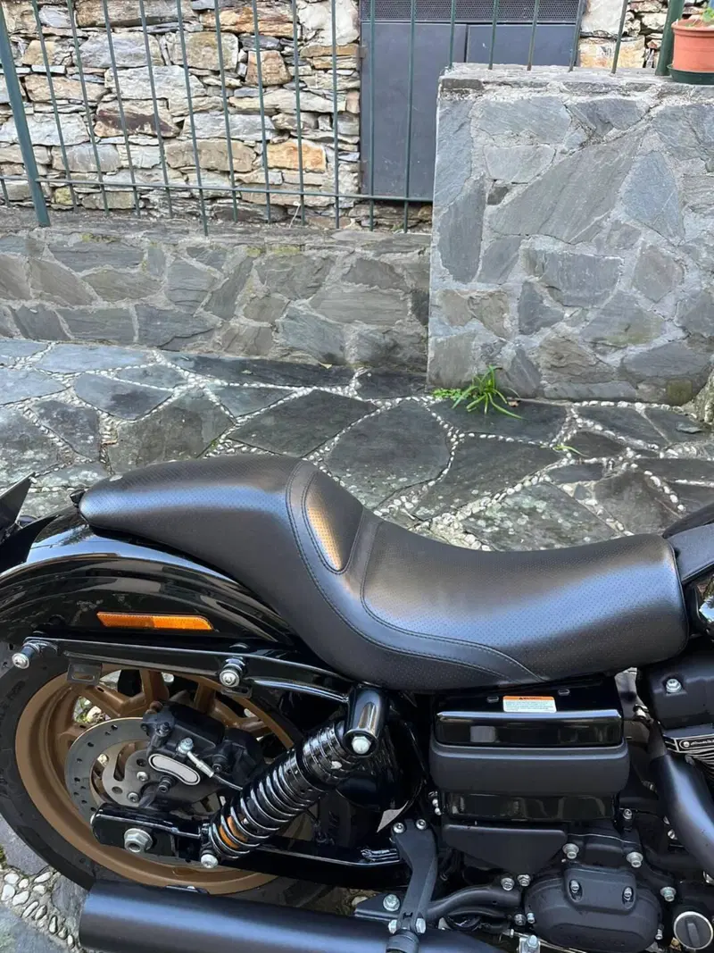 Harley-Davidson 1800 Low Rider S (2016 - 17) - FXDLS (15)