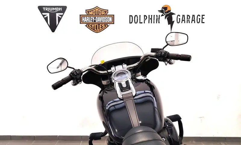 Harley-Davidson Sport Glide (2021 - 25) (13)