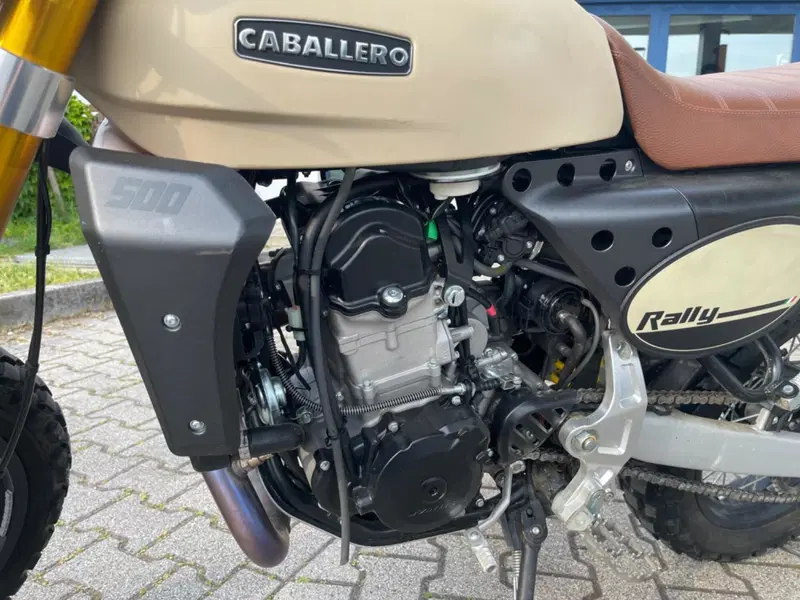 Fantic Motor Caballero 500 Rally (2021 - 23) (3)