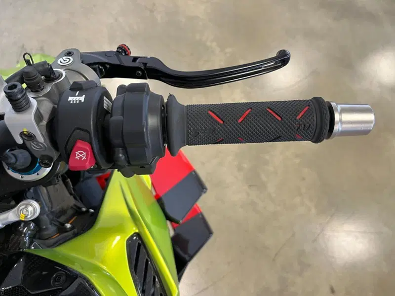 Ducati Streetfighter V4 Lamborghini (2023 - 24) (18)