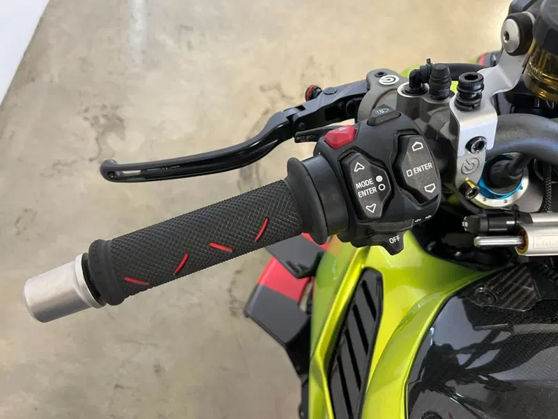 Ducati Streetfighter V4 Lamborghini (2023 - 24) (19)