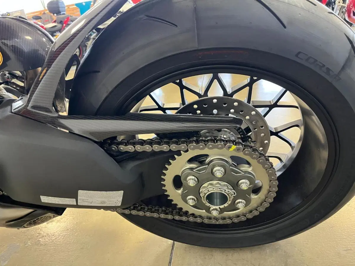 Ducati Streetfighter V4 Lamborghini (2023 - 24) (11)