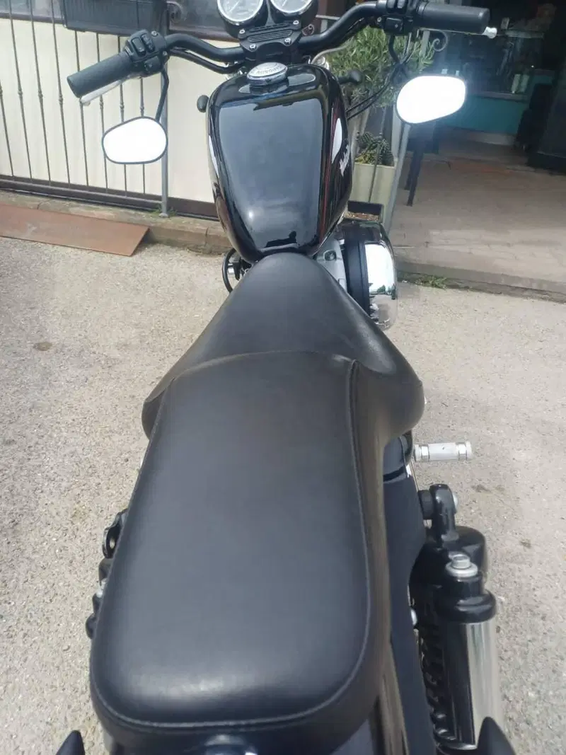 Harley-Davidson 1200 Sport (2001 - 03) - XL 1200S (7)