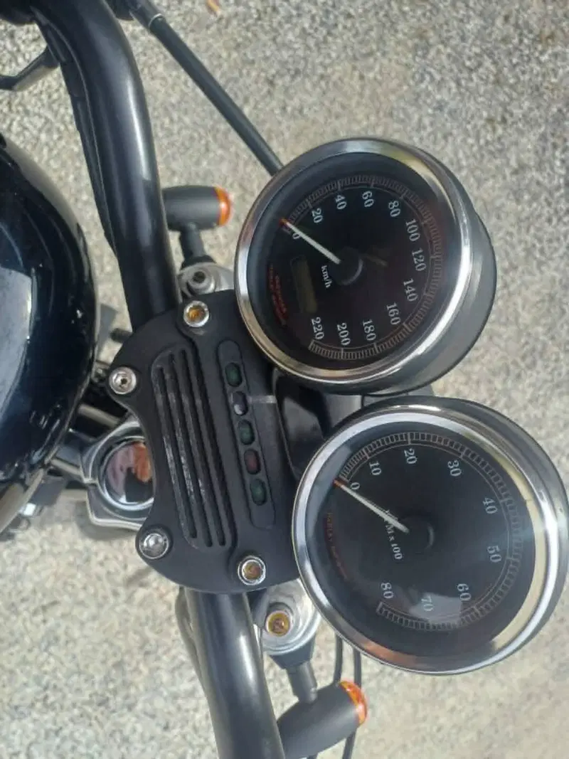 Harley-Davidson 1200 Sport (2001 - 03) - XL 1200S (9)