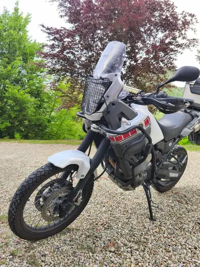 Yamaha XT 660 Z T&eacute;n&eacute;r&eacute; (2008 - 16) usata