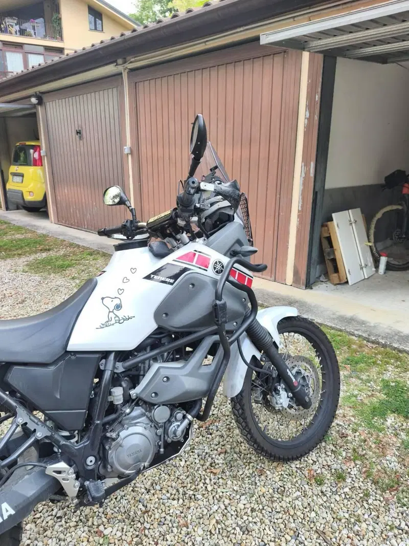 Yamaha XT 660 Z Ténéré (2008 - 16) (15)
