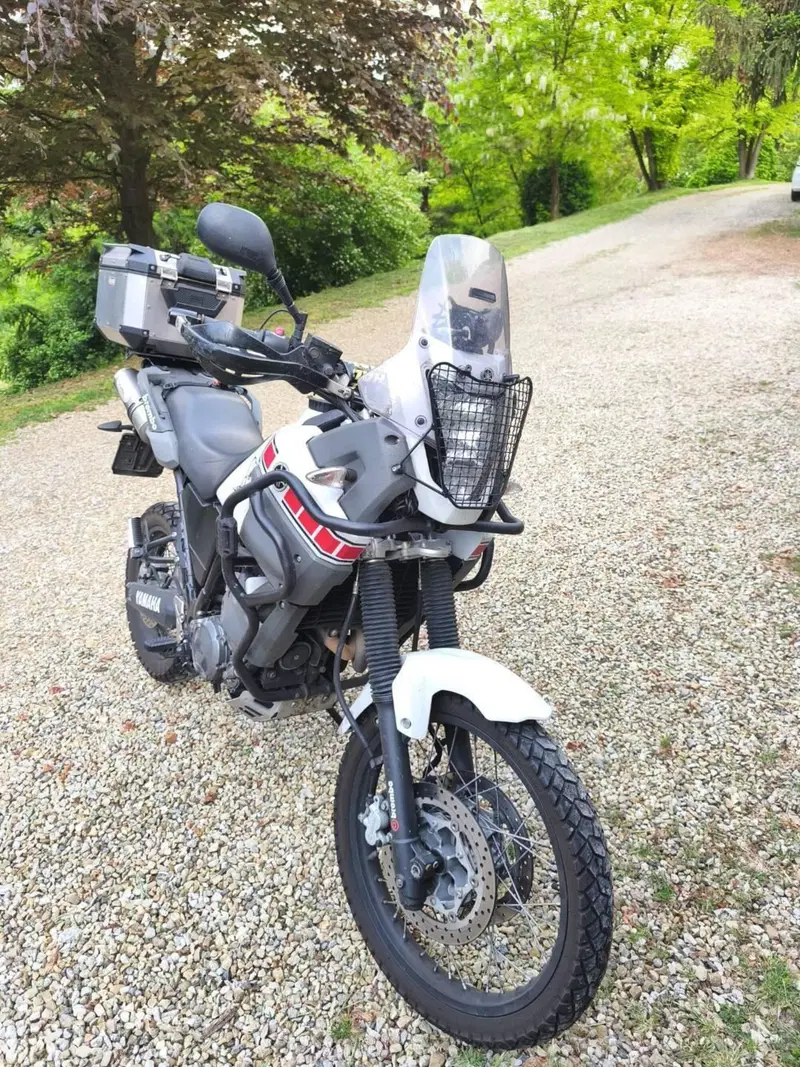 Yamaha XT 660 Z Ténéré (2008 - 16) (16)