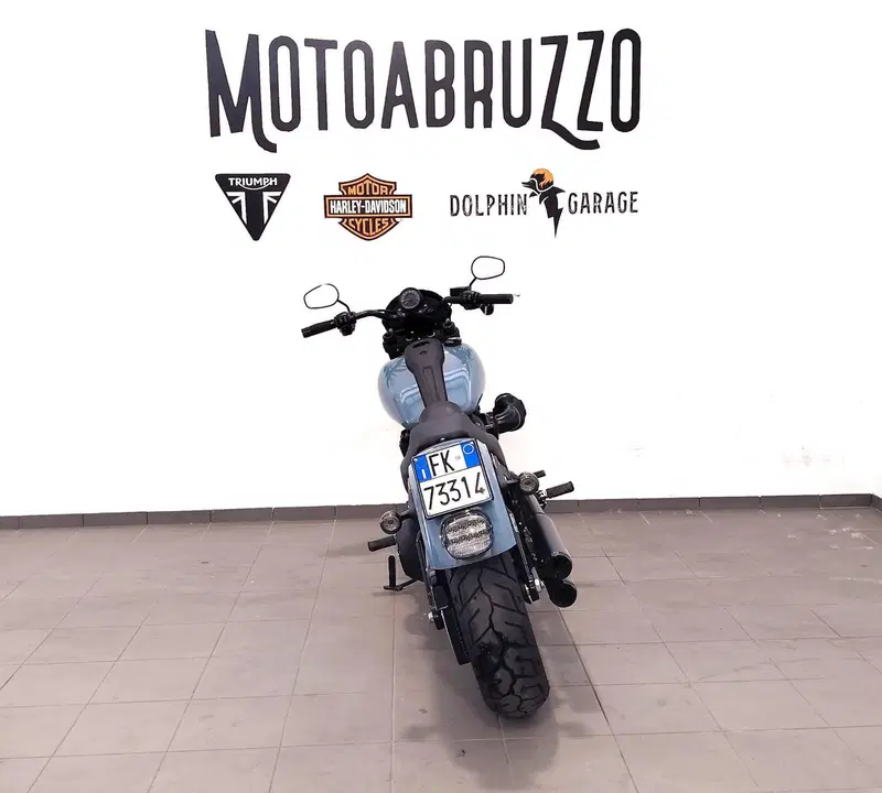 Harley-Davidson Low Rider S (2022 - 24) (11)