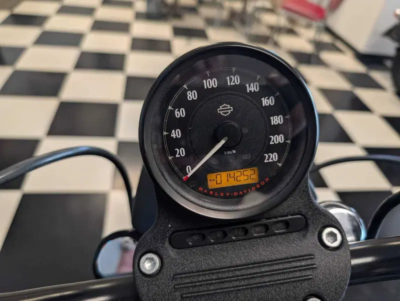 Harley-Davidson 883 Iron (2014 - 16) - XL 883N (9)