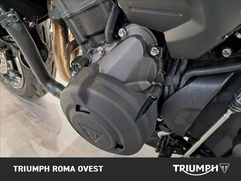 Triumph Trident 660 (2025) (16)