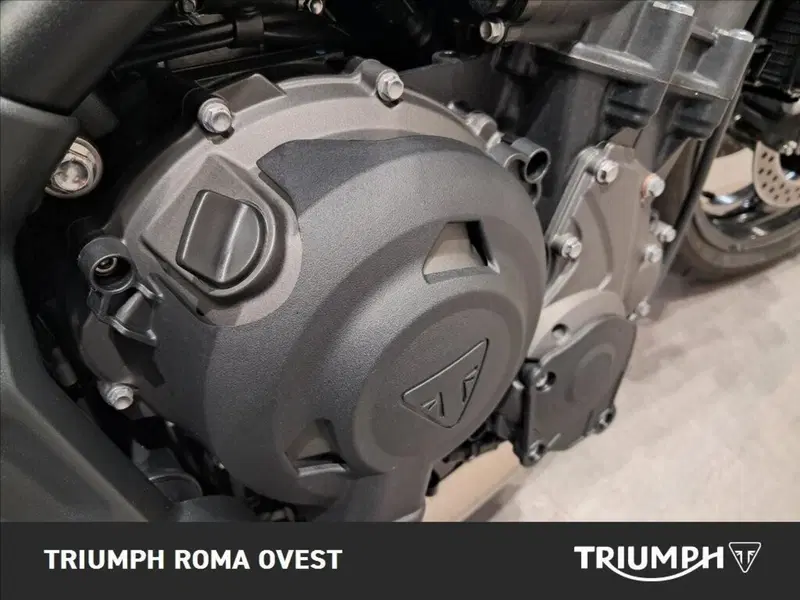 Triumph Trident 660 (2025) (17)
