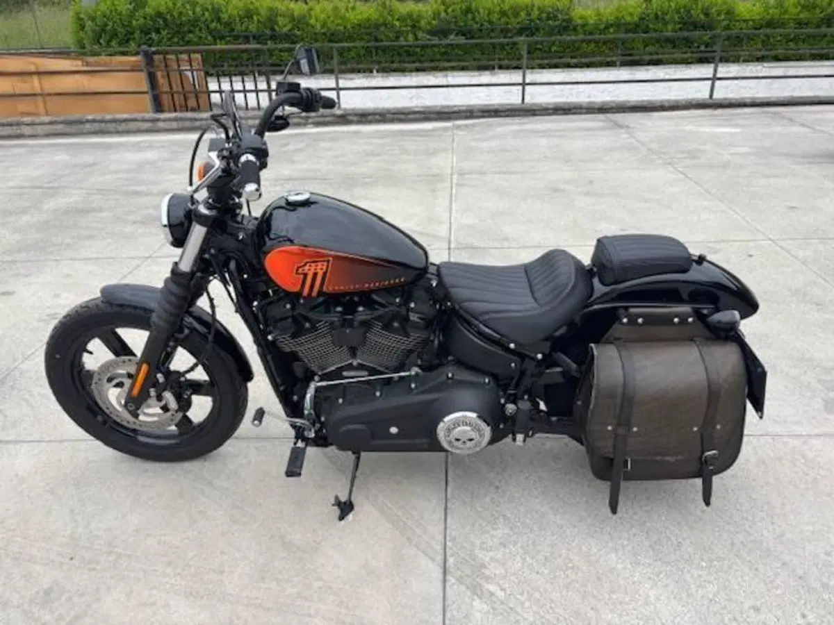 Harley-Davidson Street Bob 114 (2021 - 24)