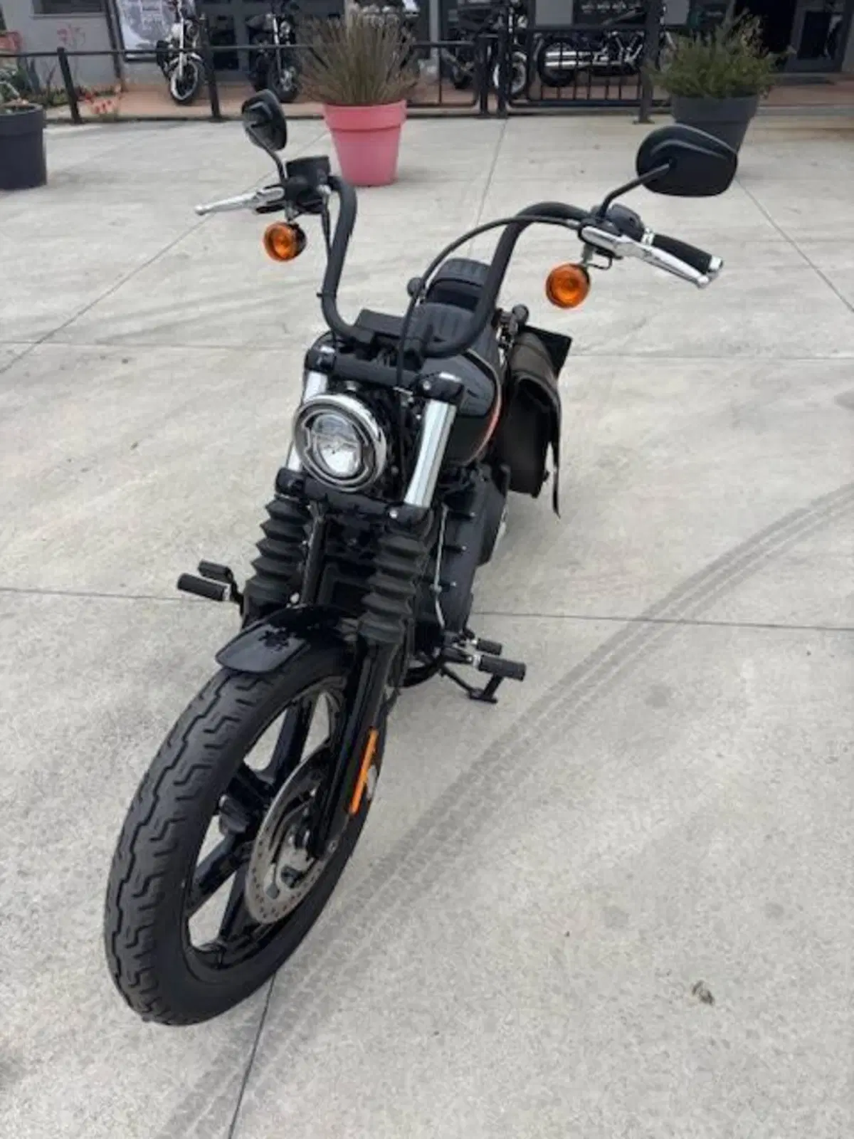 Harley-Davidson Street Bob 114 (2021 - 24) (4)